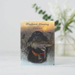 Gordon Setter Postcard