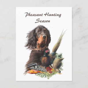 Gordon Setter Postcard