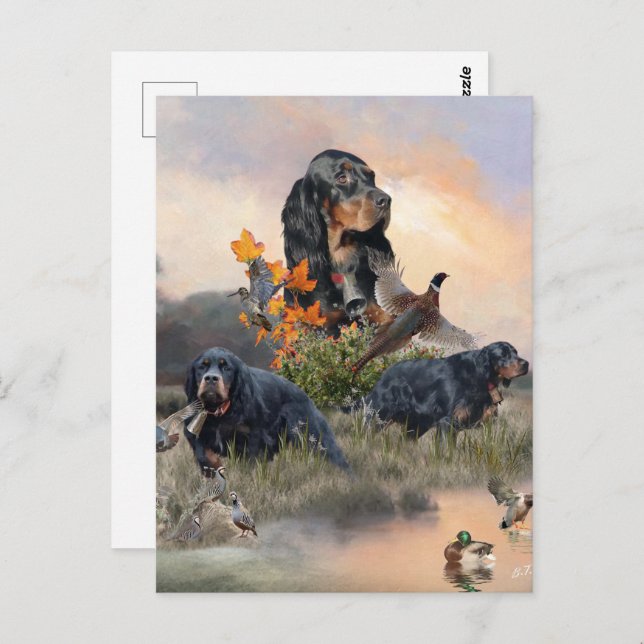 Gordon Setter  Postcard (Front/Back)