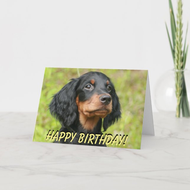 Gordon Setter puppy birthday card (Front)