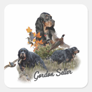 Gordon Setter Square Sticker