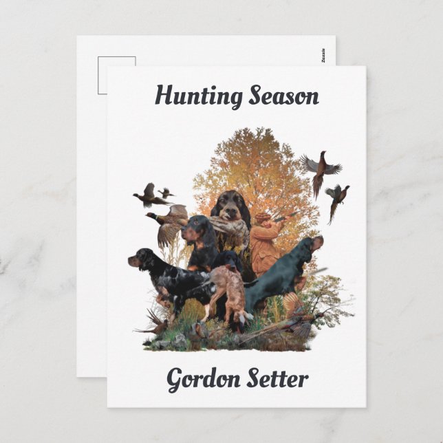 Gordon setters , Art    Holiday Postcard (Front/Back)