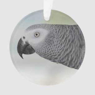 Gorgeous African Grey Parrot Ornament