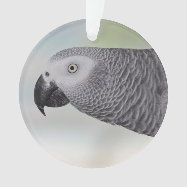 Gorgeous African Grey Parrot Ornament (Front)
