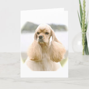 Gorgeous American Cocker Spaniel Card
