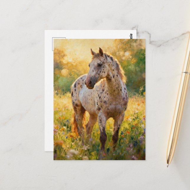 Gorgeous Appaloosa Horse in the Meadow  Postcard (Front/Back In Situ)
