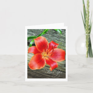 Gorgeous Asian Lily flower Thank You Card