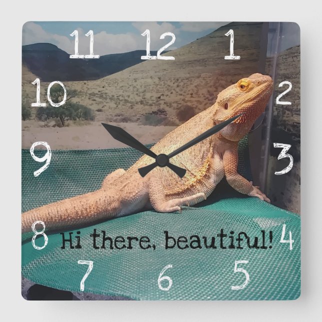 Gorgeous Bearded Dragon Picture Design Square Wall Clock (Front)