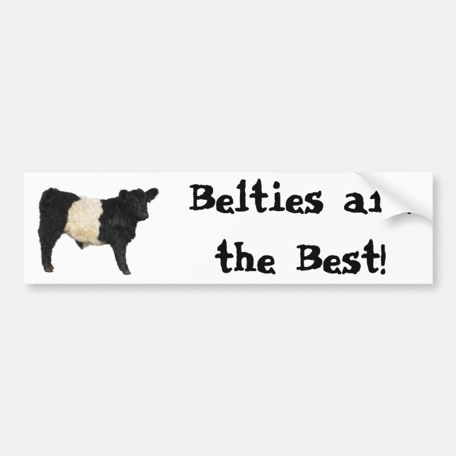 Gorgeous Belted Galloway Steer Cutout Bumper Sticker (Front)