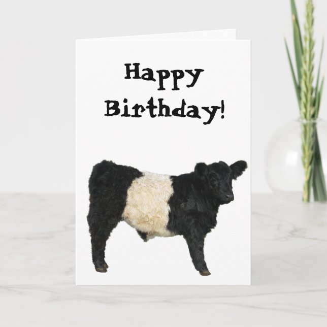 Gorgeous Belted Galloway Steer Cutout Card (Front)