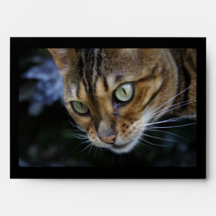 Gorgeous Bengal Cat Envelopes