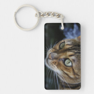 Gorgeous Bengal Cat Key Ring