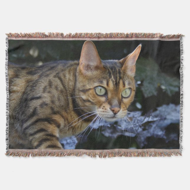 Gorgeous Bengal Cat Throw Blanket (Front)