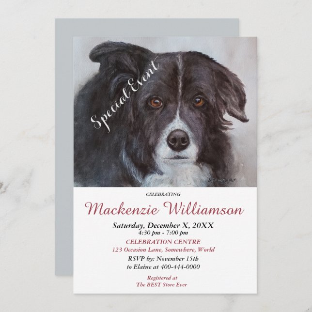 GORGEOUS BLACK BORDER COLLIE WISHES HAPPY BIRTHDAY INVITATION (Front/Back)