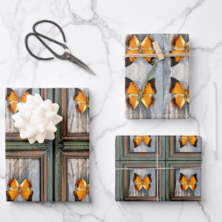 Gorgeous Black-Bordered Charaxes Butterfly V2 Wrapping Paper Sheet