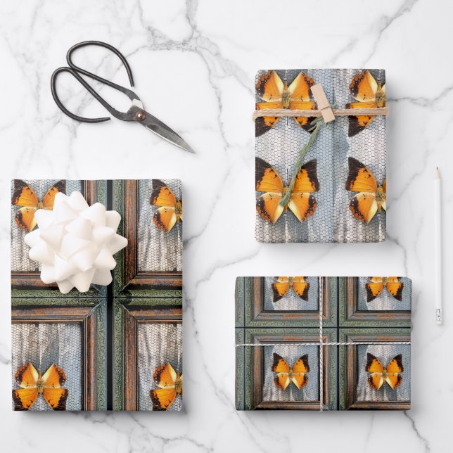 Gorgeous Black-Bordered Charaxes Butterfly V2 Wrapping Paper Sheet (Front)