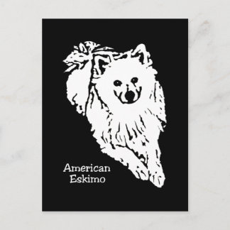 Gorgeous black/white American Eskimo postcard