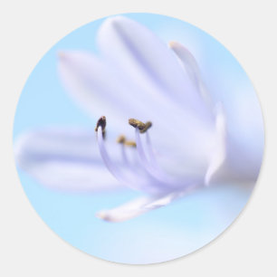 Gorgeous Blue Purple Flower Wedding Favour Sticker