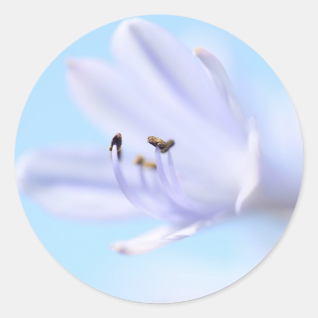Gorgeous Blue Purple Flower Wedding Favour Sticker (Front)