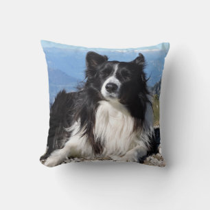 Gorgeous Border Collie Dog black white Cushion