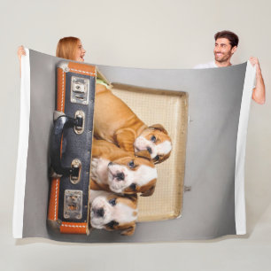 Gorgeous Bulldog Puppies   Dog Lover Fleece Blanket