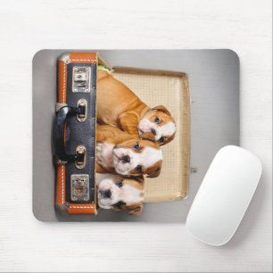 Gorgeous Bulldog Puppies   Dog Lover Mouse Pad