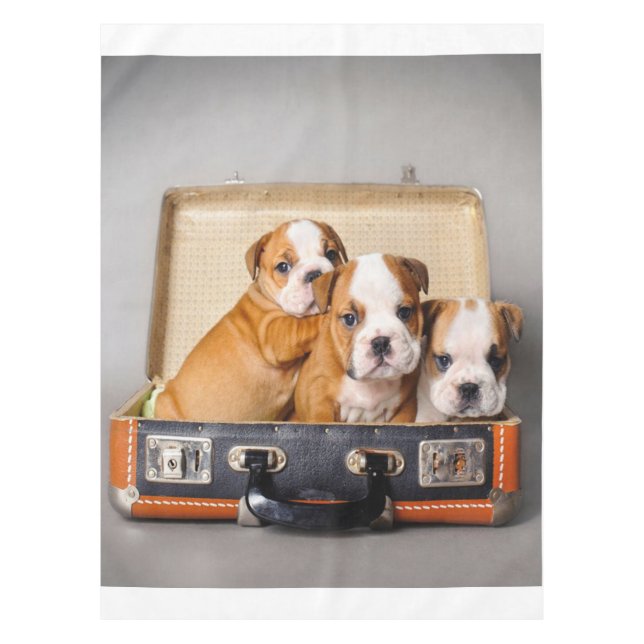 Gorgeous Bulldog Puppies | Dog Lover Tablecloth (Front)