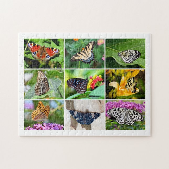 Gorgeous Butterflies Collage, Age 8, 252 Pieces Jigsaw Puzzle (Horizontal)