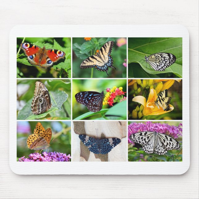 Gorgeous Butterfly Collage, 9 Photos Mouse Pad (Front)