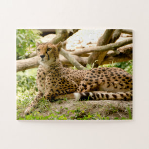 Gorgeous Cheetah Beautiful Cat Photo Jigsaw Puzzle