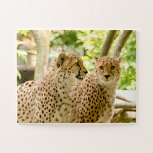 Gorgeous Cheetah Beautiful Cat Photo Jigsaw Puzzle