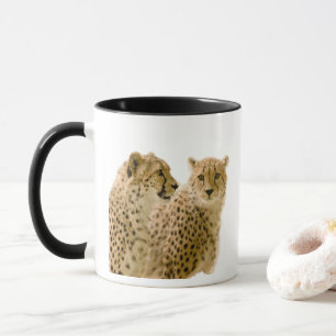 Gorgeous Cheetah Beautiful Cat Photo Mug