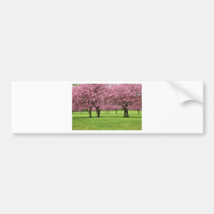 GORGEOUS CHERRY FLORAL BUMPER STICKER