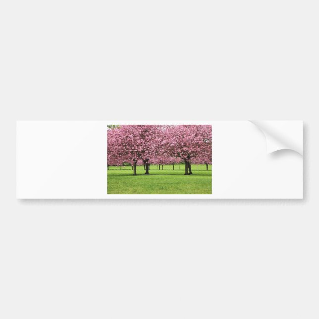 GORGEOUS CHERRY FLORAL BUMPER STICKER (Front)