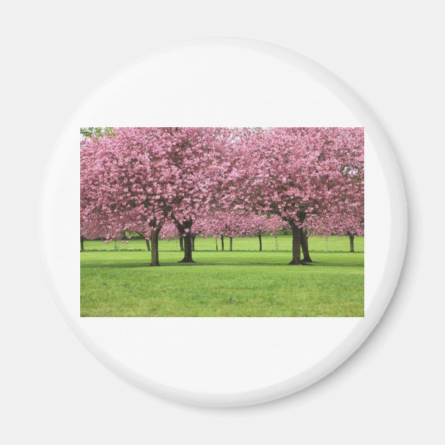 GORGEOUS CHERRY FLORAL MAGNET (Front)