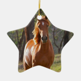 Gorgeous Chestnut Brown Horse in Field Ceramic Tree Decoration