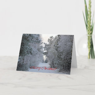 Gorgeous Christmas Greeting Card! Holiday Card