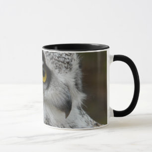Gorgeous Close Up Owl Photograph Mug
