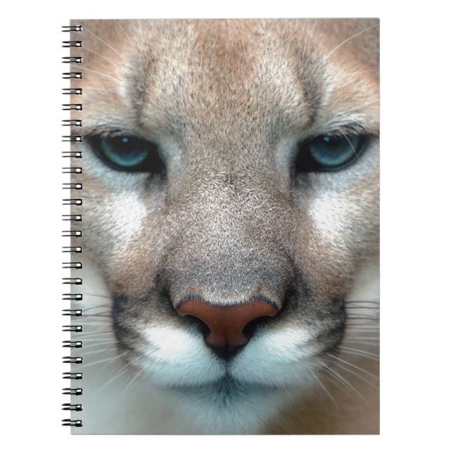 GORGEOUS COUGAR NOTEBOOK (Front)