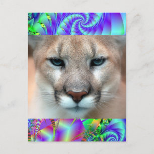GORGEOUS COUGAR POSTCARD