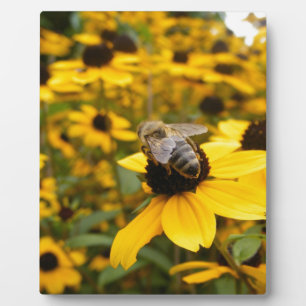GORGEOUS DAISY FIELDS & HONEY BEE PLAQUE