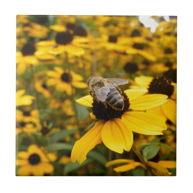 GORGEOUS DAISY FIELDS & HONEY BEE TILE (Front)