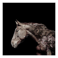 Gorgeous Double Exposure Horse Flower Photo