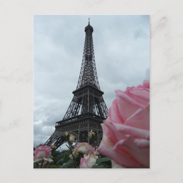 Gorgeous Eiffel Tower Pink Roses Photo Card (Front)
