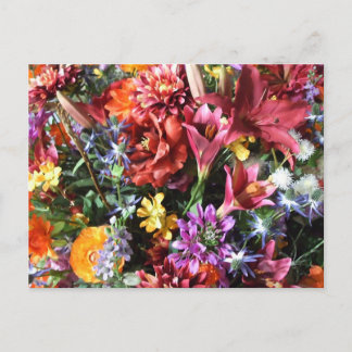 gorgeous, flamboyant flowers. postcard