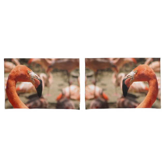 Gorgeous Flamingo Pair Of Pillowcases! Pillowcase (Front-Set)