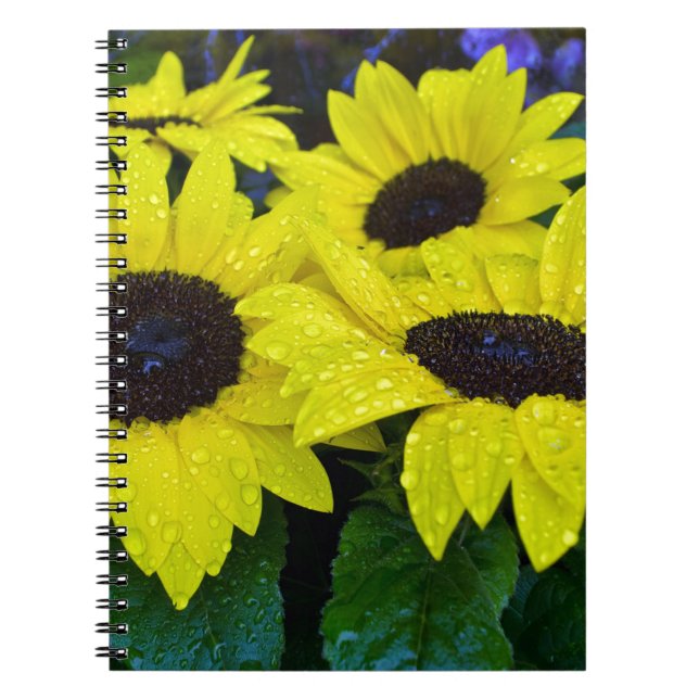 GORGEOUS GARDEN SUNFLOWERS NOTEBOOK (Front)
