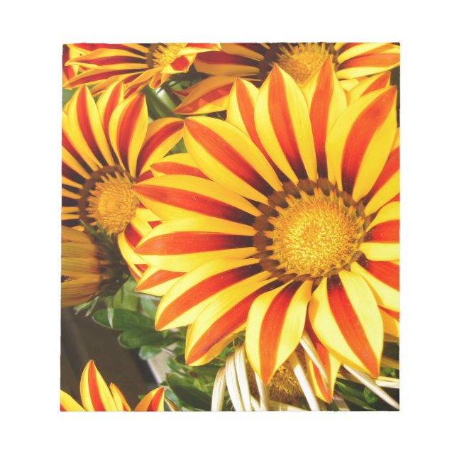 Gorgeous Gazanias Notepad (Front)