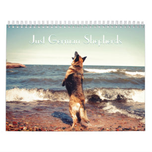 Gorgeous German Shepherd Calendar