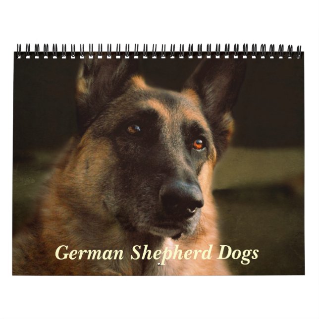 Gorgeous German Shepherd Dog Calendar (Cover)